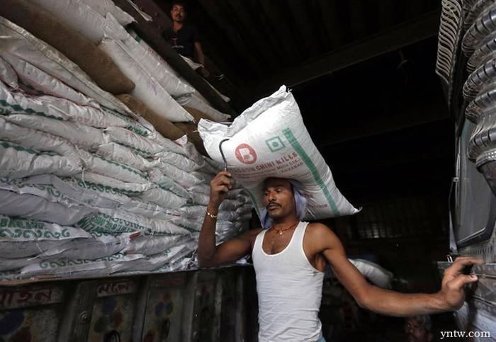 印度已产糖3109万吨 同比略减 维持食糖出口限制是因为……