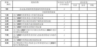 证券代码：000888    证券简称：峨眉山A    公告编号：2024-27