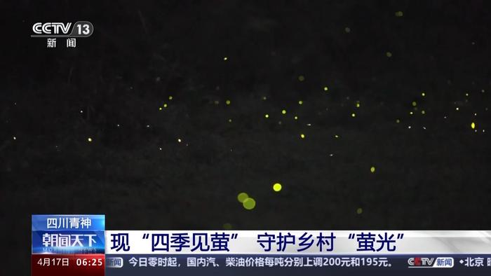 好生态带来好效益 小小萤火虫点亮乡村夜经济