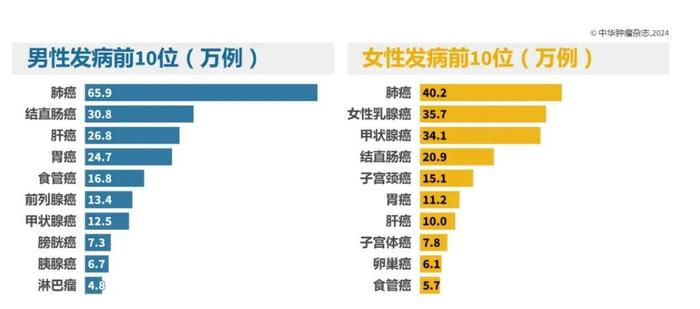 综合施策，科学防癌 | 肺部小结节，不必太紧张