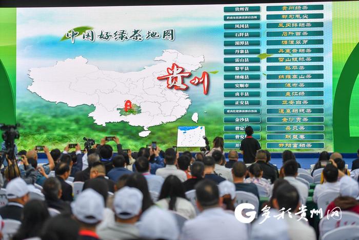 “中国好绿茶地图”等你来开启！这些贵州绿茶榜上有名