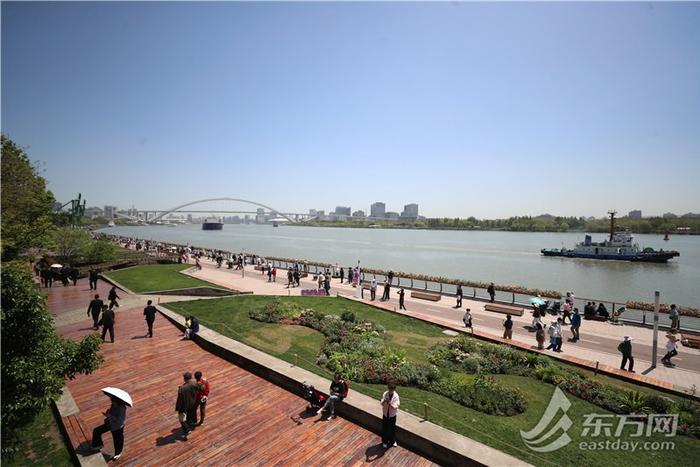 2024上海（国际）花展开幕，徐汇滨江繁花似锦美出新高度