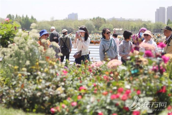 2024上海（国际）花展开幕，徐汇滨江繁花似锦美出新高度