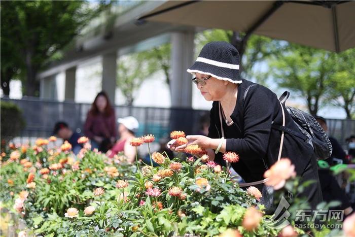 2024上海（国际）花展开幕，徐汇滨江繁花似锦美出新高度