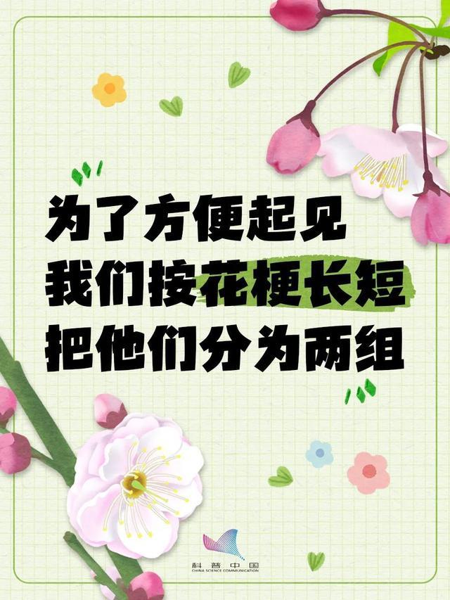 桃李杏樱梅梨海棠……超简单的识花手册来了