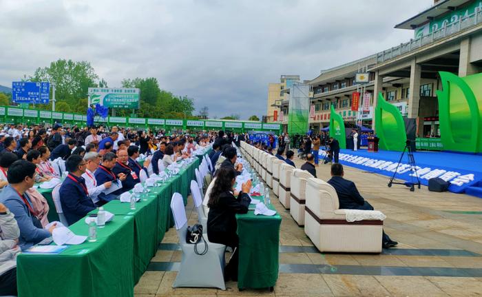 2024中国好绿茶大会暨第16届贵州茶产业博览会开幕