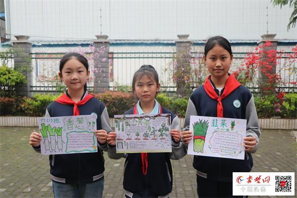 茅箭区茅箭小学：手绘植物名片 共建绿色校园