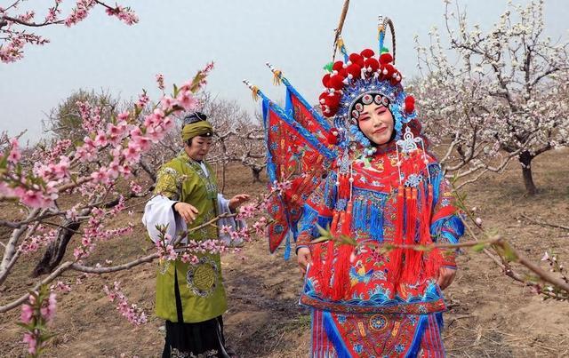 碣石桃花朵朵开 游客闻香踏青来