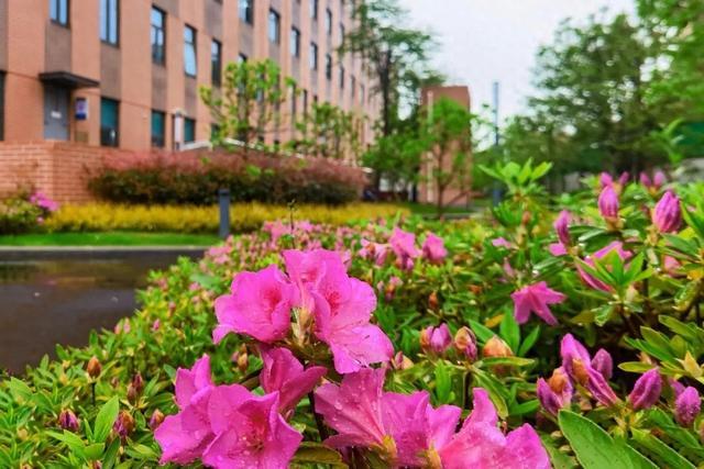 谷雨时节湿气重，如何护好脾胃专家来支招