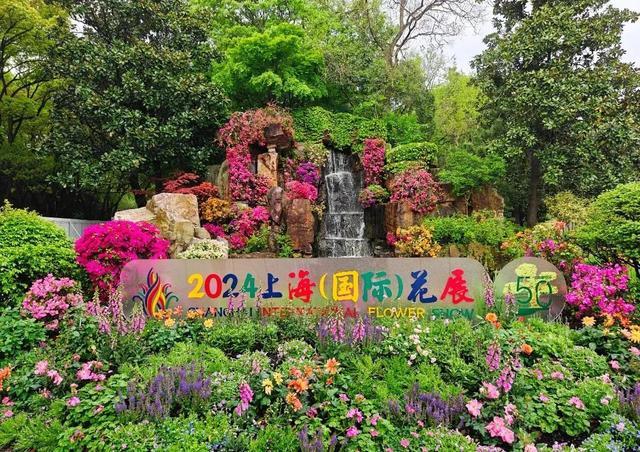 大片来袭！2024上海（国际）花展如期而至