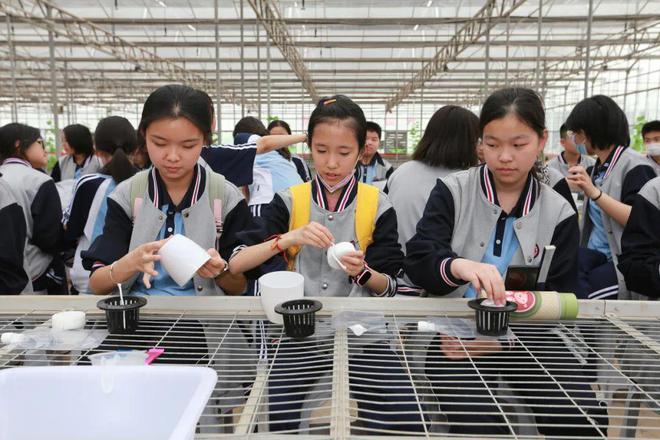 西安市第二十六中学“名校+”共同体七年级研学活动纪实