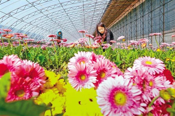 谷雨时节百花香 雨泽万物种希望