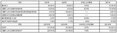 证券代码：002122    证券简称：汇洲智能    公告编号：2024-012