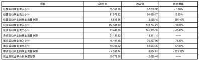 证券代码：002122    证券简称：汇洲智能    公告编号：2024-012