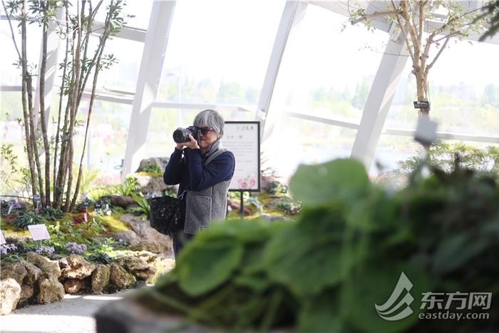 国际花展 | 上海植物园北区全面开放，首个“冷温室群”迎客