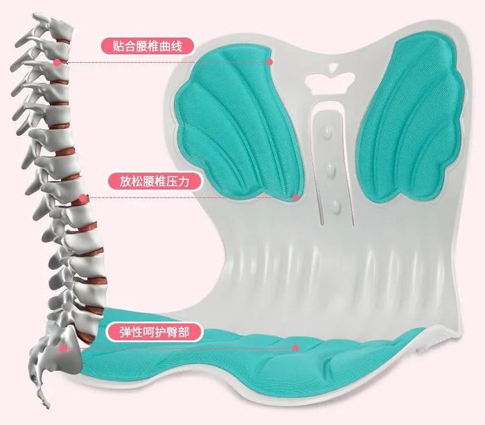 2亿人的脊椎有救了！有它为你“撑腰”，连坐8小时依旧舒服~