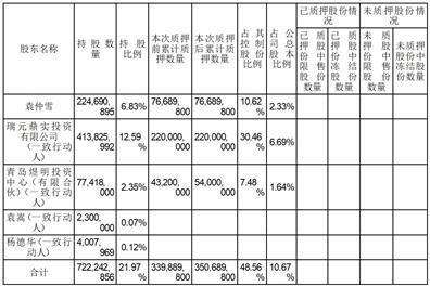 证券代码：601058         证券简称：赛轮轮胎         公告编号：临2024-032