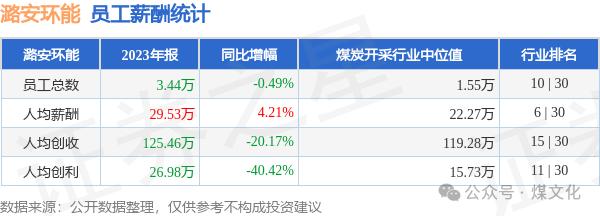 潞安环能总经理史红邈薪酬67.84万，利润下滑44.11%