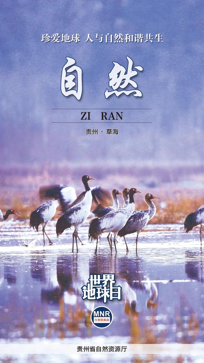 广西、广东、内蒙古、四川、浙江、福建、贵州等接力打开大美自然 | 世界地球日