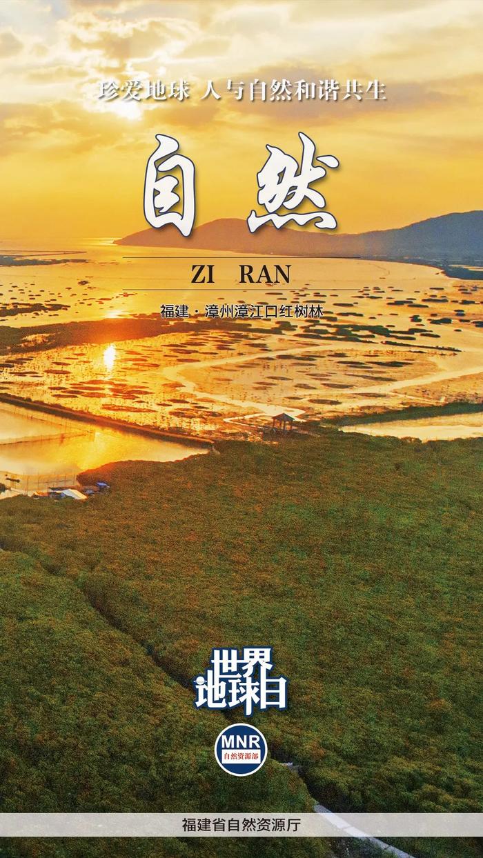 广西、广东、内蒙古、四川、浙江、福建、贵州等接力打开大美自然 | 世界地球日