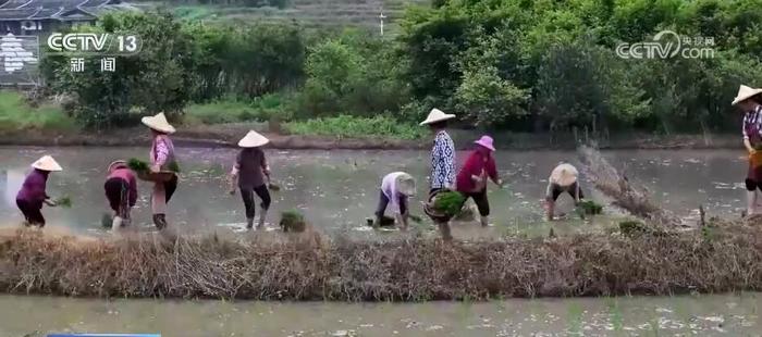 高科技为田间管理“保驾护航” “好种子”让希望的田野“丰”光无限