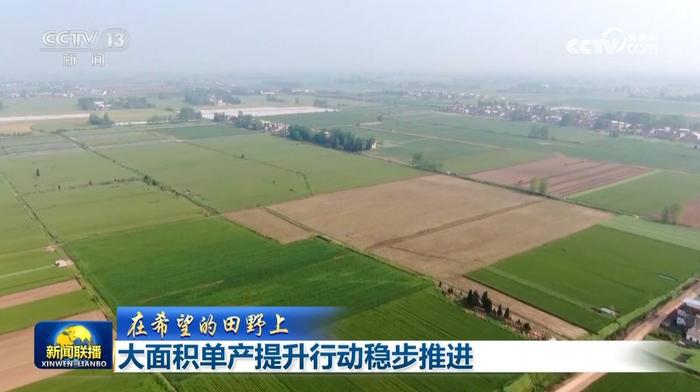 农业农村部确定大面积提单产路线图，端牢“中国饭碗”