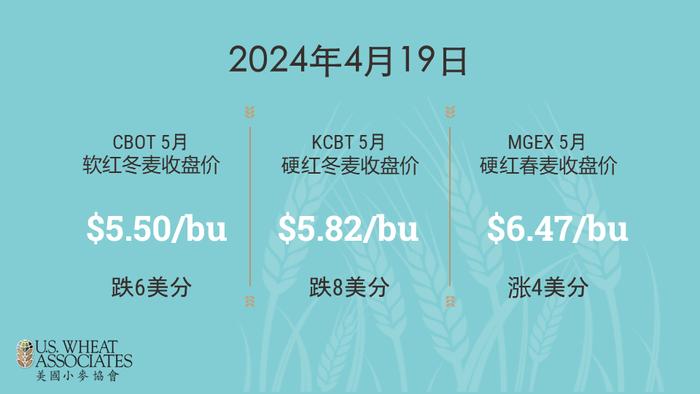 美国小麦价格周报-2024年4月19日