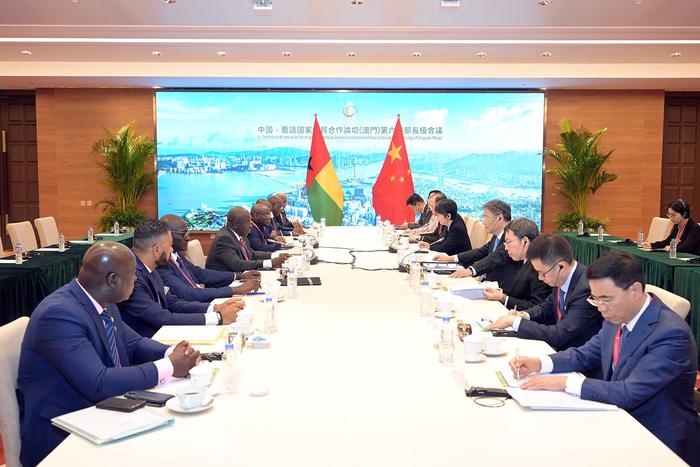王文涛部长会见几内亚比绍经济、计划与区域一体化部部长桑布