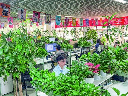 ▲冠旭电子员工工位被绿植环绕(4月16日摄)。本报记者陈改摄