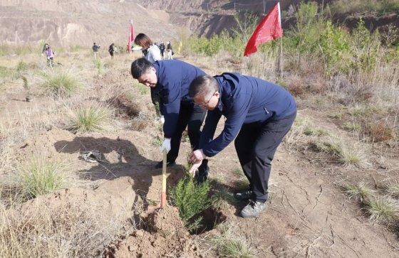 白龙江林业保护中心开展春季义务植树活动