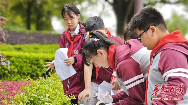 武陵区紫桥小学：保护母亲河 我为地球做家政