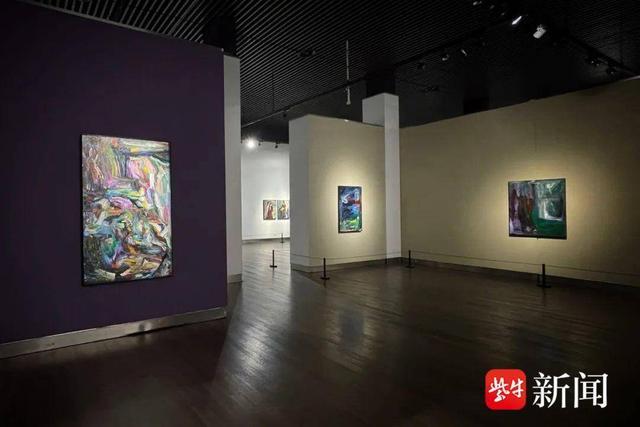 “并非扮相——李安源绘画作品展”在金陵美术馆开展并举行艺术分享会