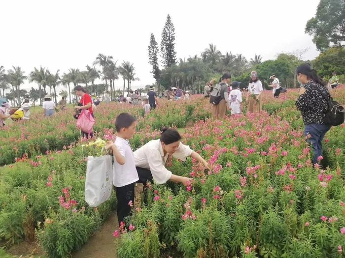 新闻早茶｜新一轮降雨要来了！广东接下来的天气→