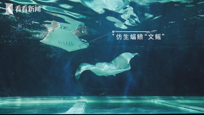 视频 | 国内首款智能软体仿生鱼问世 上海团队研发
