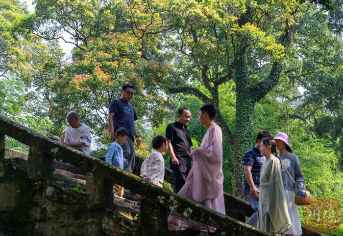 C视觉︱雅安云峰山：竟然藏了中国最美桢楠林