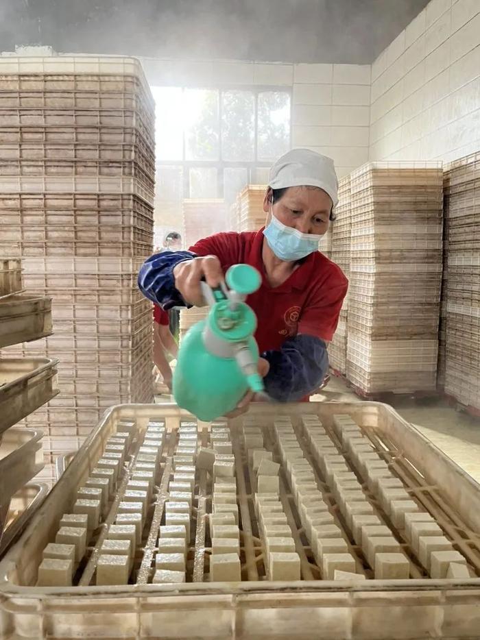 非遗文化传承千年老滋味丨探访桂林豆腐乳制作技艺