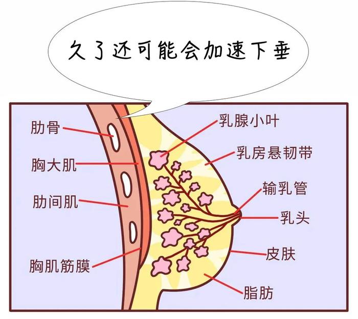 所有女生，运动时一定要穿运动内衣啊