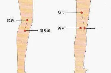 膝关节疼痛常见原因，您属于哪一种？丨贤医健康说