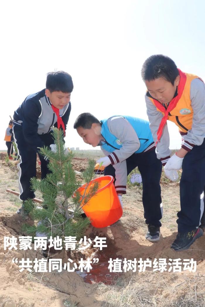 陕西内蒙古两地青少年“共植同心林”