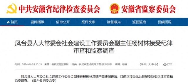 凤台县人大常委会社会建设工作委员会副主任杨树林，被查