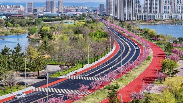 荣成：“樱花大道”尽赏繁花