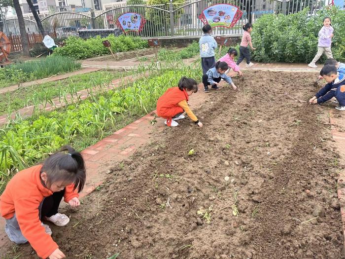 谷雨润万物，节气润童心——内乡县星博幼儿园谷雨主题活动