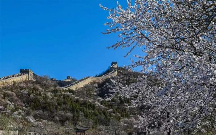 “五一”小长假去哪玩？延庆推出超级草莓音乐节等一大波文旅活动