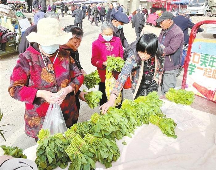 兰州市城关区盐场路街道村：干部化身“推销员” 解决村民卖菜难——亭子村社区多管齐下拓宽销售渠道