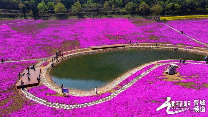 山西沁水南阳：太行洪谷月牙湖 芝樱花海迎客来