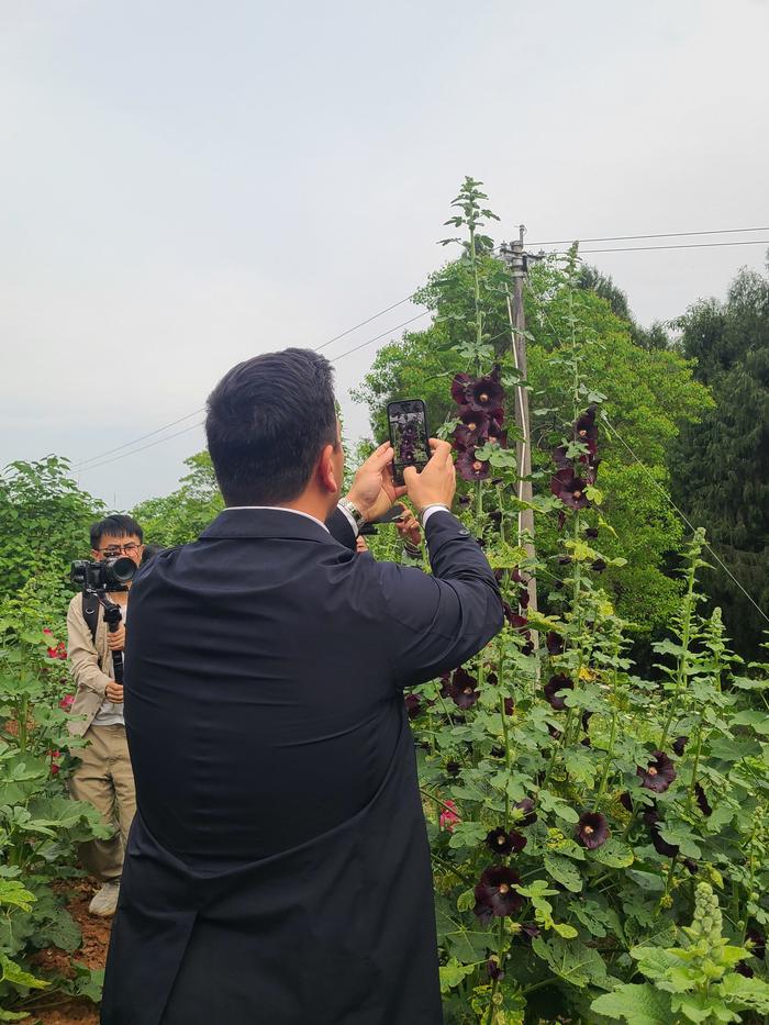 国际园艺生产者协会主席莱昂纳多·卡皮塔尼奥：在鲜花山谷，我打开了一个新世界