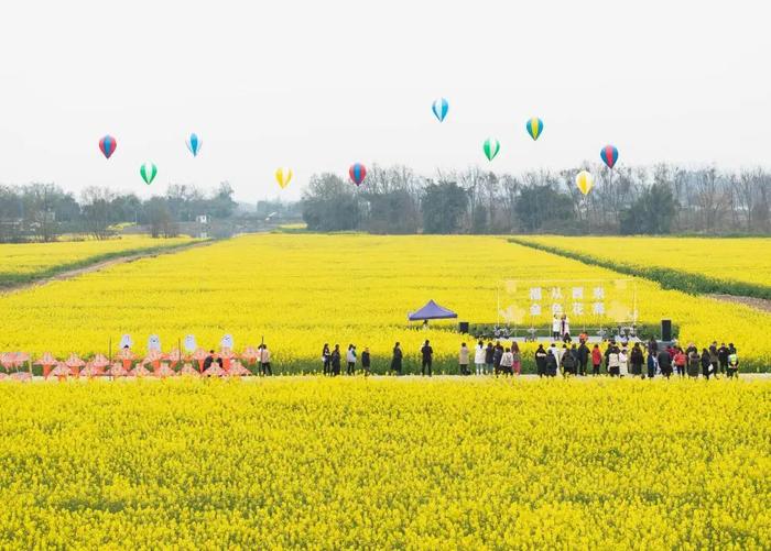 华森制药党委书记、董事长游洪涛参加“中国经济圆桌会”丨解码首季经济成绩单