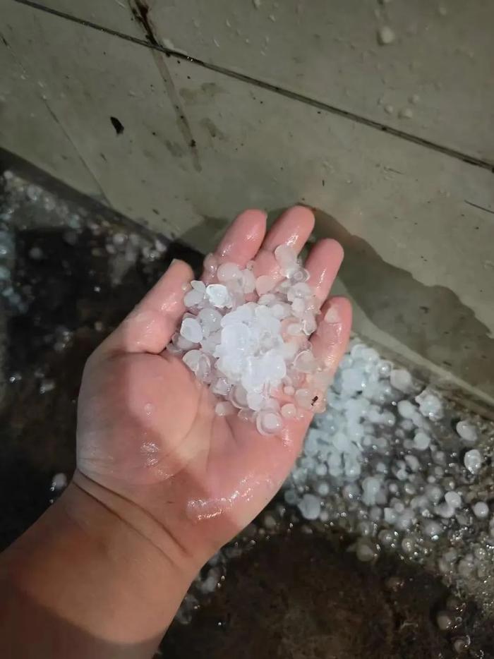 暴҈雨҈！大҈暴҈雨҈！肇庆4月雨量破纪录，新一轮强降雨要来啦……