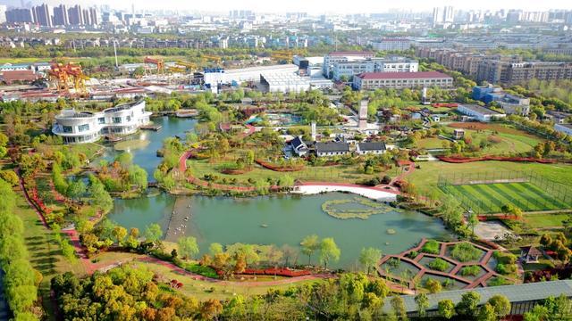 来稿展示｜白鹭飞起的时候，在城市看见旷野