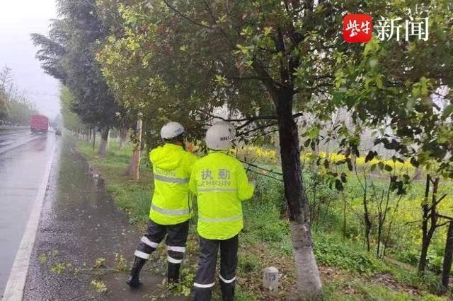 茂密树枝遮挡视线，南京江宁交警及时修剪消除道路安全隐患